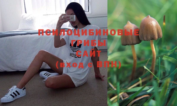 экстази Вязьма